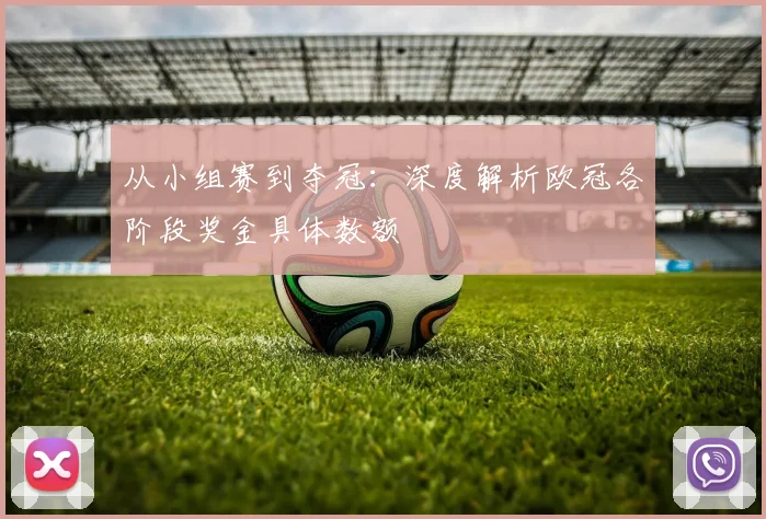 从小组赛到夺冠:深度解析欧冠各阶段奖金具体数额