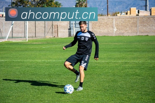 华体app官方登录入口发展历程